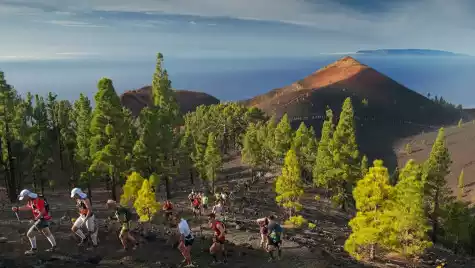 La Palma: El Destino Perfecto para Amantes de la Fotografía